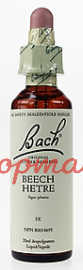 Bach Flower Essences- Beech  20 ml