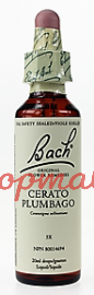 Bach Flower Essences -Cerato 20 ml