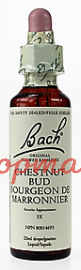 Bach Flower Essences- Chestnut Bud 20 ml
