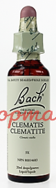 Bach Flower Essences-Clematis 20 ml