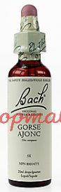 Bach Flower Essences- Gorse 20 ml