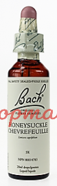 Bach Flower Essences-Honeysuckle 20 ml