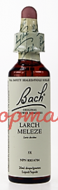 Bach Flower Essences- Larch 20 ml