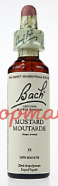 Bach Flower Essences- Mustard 20 ml