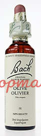 Bach Flower Essences-Olive 20 ml