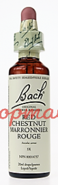 Bach Flower Essences- Red Chestnut  20 ml