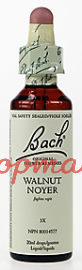 Bach Flower Essences-Walnut  20 ml